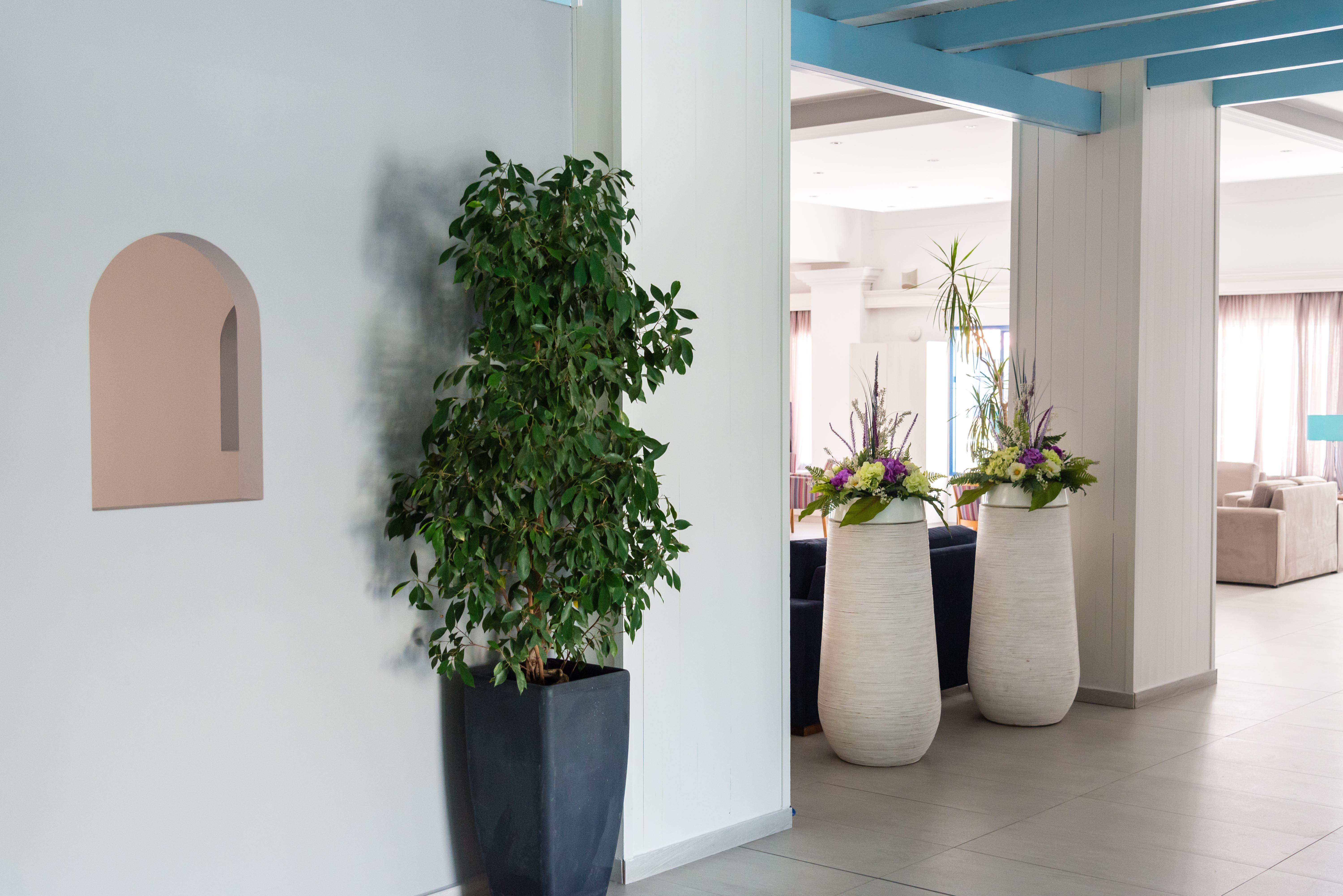 Kefalos Damon Hotel Apartments Πάφος Εξωτερικό φωτογραφία